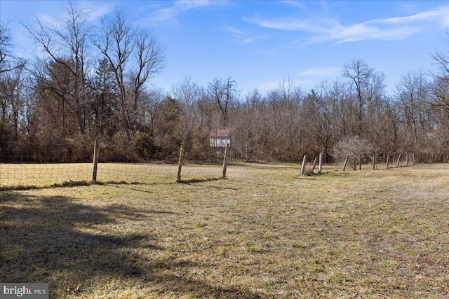 6772 E Side, Elkton, VA 22827 - view of grassy yard