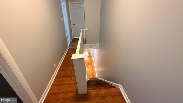 2126 E Sanger St, Philadelphia, PA 19124 - staircase with wood finished floors and baseboards