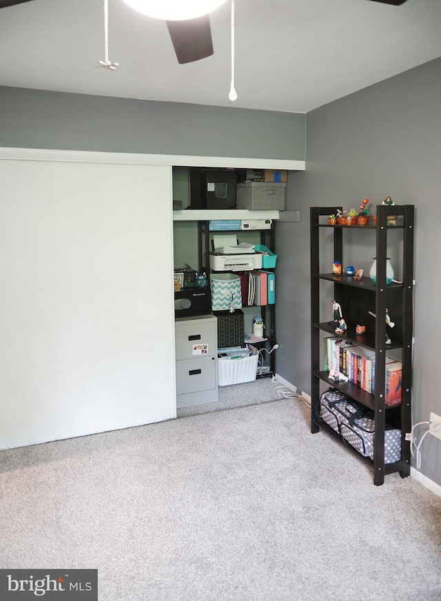 9 Wyndham Ct, Downingtown, PA 19335 - view of storage room