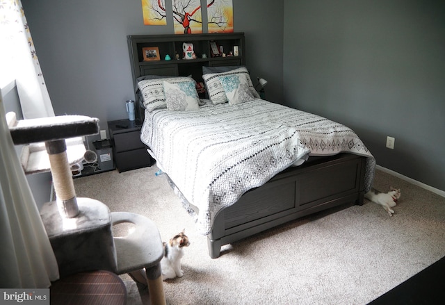 9 Wyndham Ct, Downingtown, PA 19335 - bedroom featuring carpet floors and baseboards