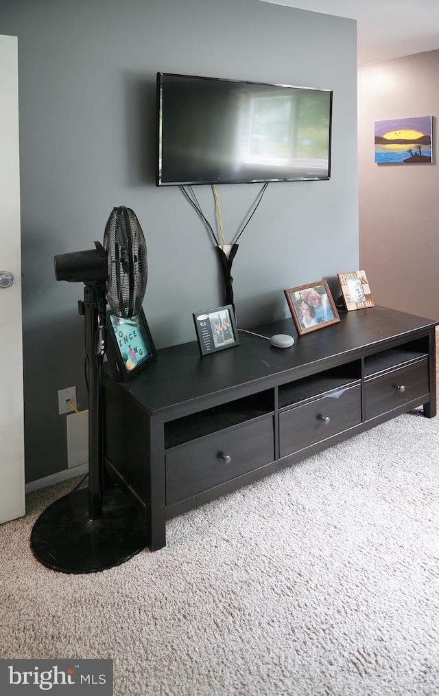 9 Wyndham Ct, Downingtown, PA 19335 - detailed view of carpet and baseboards