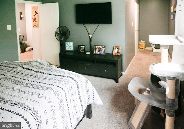 9 Wyndham Ct, Downingtown, PA 19335 - carpeted bedroom with baseboards