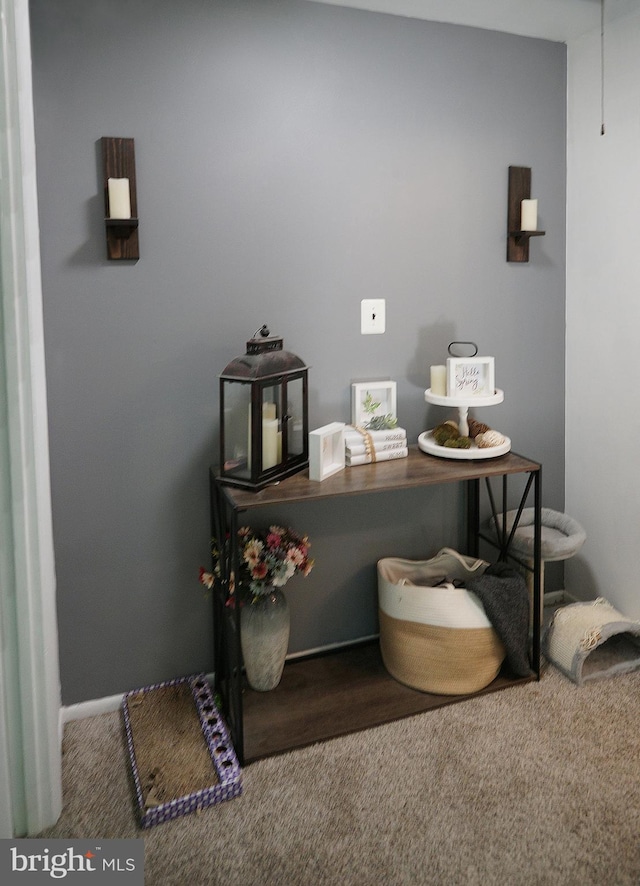 9 Wyndham Ct, Downingtown, PA 19335 - detailed view of carpet flooring