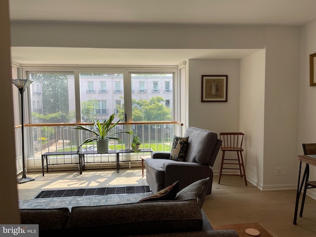 510 N Street Street SW Unit N223, Washington, DC 20024 - sitting room featuring plenty of natural light and baseboards