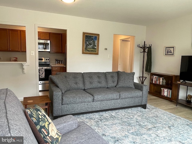 510 N Street Street SW Unit N223, Washington, DC 20024 - living area with light wood finished floors