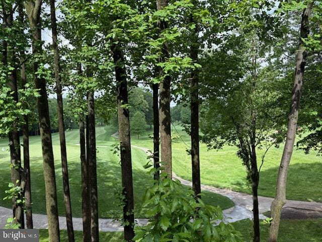 3546 Sutton Heights Cir, Fairfax, VA 22031 - view of nature