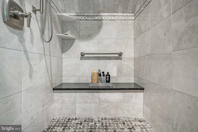 1217 Tullamore Cir, Chester Springs, PA 19425 - full bathroom with tiled shower