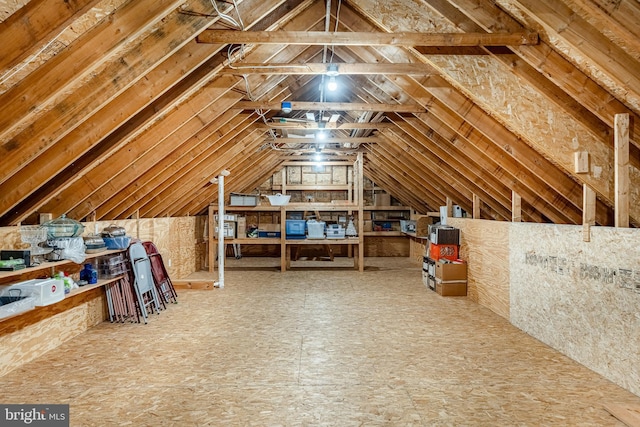 1217 Tullamore Cir, Chester Springs, PA 19425 - view of unfinished attic