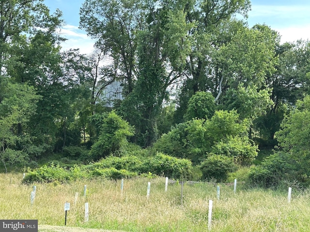 9402 James Macgowan Ln Unit 611, Owings Mills, MD 21117 - view of nature