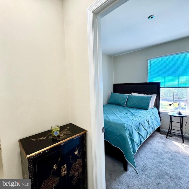 6820 Jade Ct, Capitol Heights, MD 20743 - view of carpeted bedroom