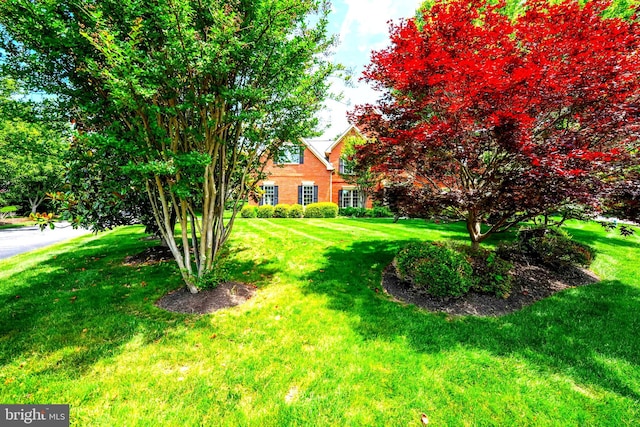 12704 Autumn Crest Dr, Herndon, VA 20171 - view of green lawn