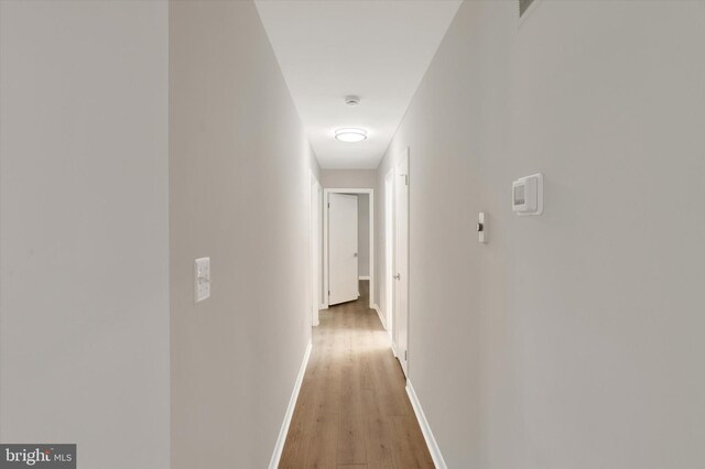 1216 Steamboat Rd, Shady Side, MD 20764 - hall with light wood-type flooring and baseboards