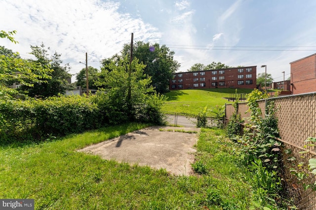 212 Division Ave NE, Washington, DC 20019 - view of yard