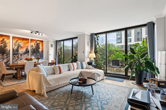 2700 Virginia Ave NW Unit 109, Washington, DC 20037 - living area with a wall of windows, crown molding, rail lighting, and wood finished floors