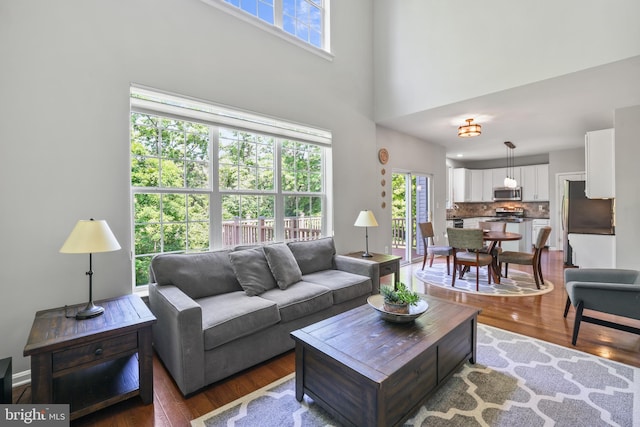 17542 Falls Pl, Round Hill, VA 20141 - living room with wood finished floors, healthy amount of natural light, and a towering ceiling