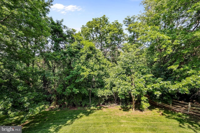 17542 Falls Pl, Round Hill, VA 20141 - view of yard