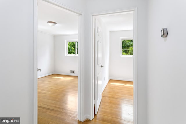 3603 Astoria Rd, Kensington, MD 20895 - hallway featuring healthy amount of natural light and light wood-type flooring