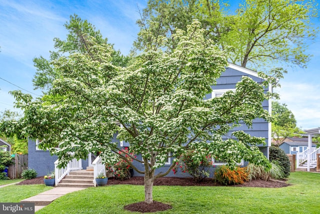 3603 Astoria Rd, Kensington, MD 20895 - view of property hidden behind natural elements
