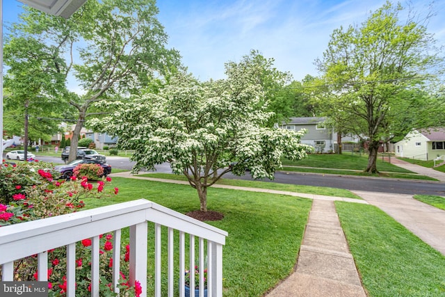 3603 Astoria Rd, Kensington, MD 20895 - view of grassy yard with a residential view