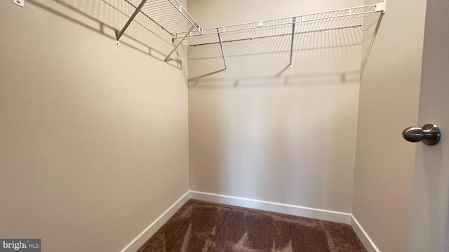 4904 Brookside Ct, Coopersburg, PA 18036 - walk in closet with dark carpet