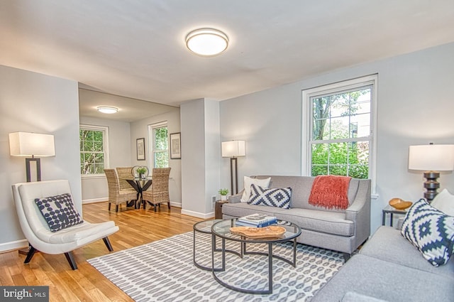 2990 S Columbus St, Arlington, VA 22206 - living room featuring light wood-style flooring and baseboards