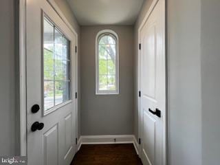 13 53rd Pl SE, Washington, DC 20019 - doorway featuring baseboards, plenty of natural light, and dark wood-style floors