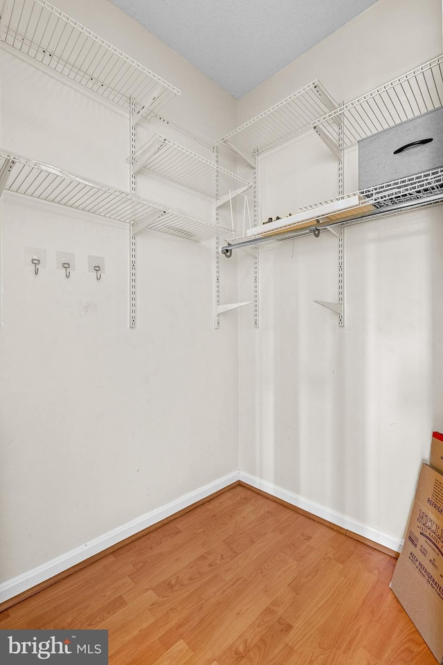 7432 Hindon Cir Unit B1-204, Windsor Mill, MD 21244 - spacious closet featuring wood finished floors
