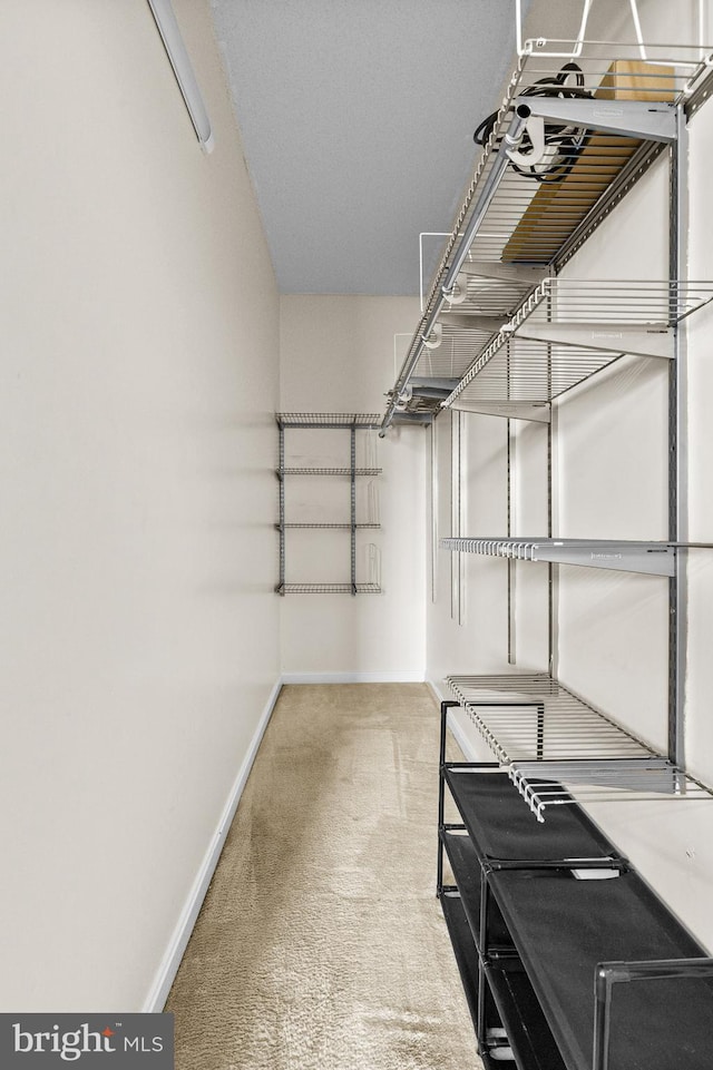 7432 Hindon Cir Unit B1-204, Windsor Mill, MD 21244 - walk in closet featuring carpet floors