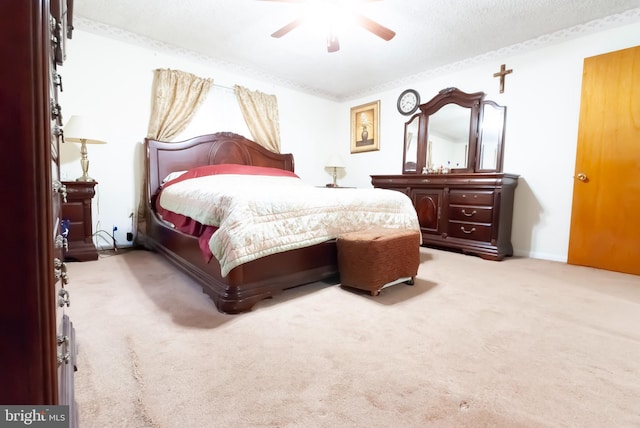 34 Georgetown Rd, Bordentown, NJ 08505 - bedroom with carpet floors and ceiling fan