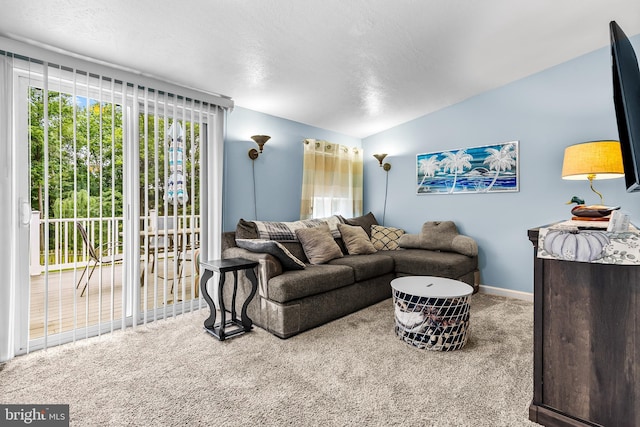 315 Robinhood Rd, Havre De Grace, MD 21078 - living area with vaulted ceiling, carpet flooring, baseboards, and a textured ceiling