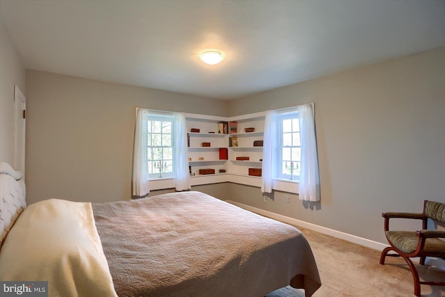 896 Hershey Heights Rd, Hanover, PA 17331 - bedroom featuring multiple windows, light carpet, and baseboards