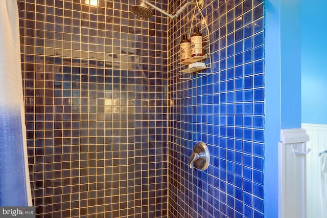 896 Hershey Heights Rd, Hanover, PA 17331 - bathroom view of a tile shower