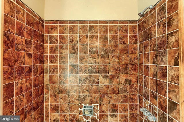 896 Hershey Heights Rd, Hanover, PA 17331 - full bathroom featuring a tile shower