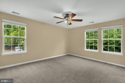 45472 Westmeath Way Unit I 12, Great Mills, MD 20634 - carpeted empty room with a ceiling fan, baseboards, and plenty of natural light