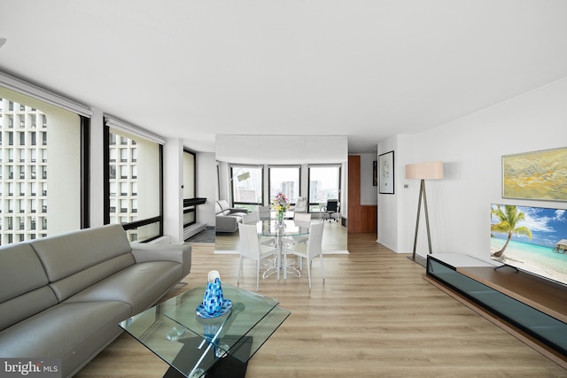 210 Locust St Unit 19Gw, Philadelphia, PA 19106 - living area featuring wood finished floors