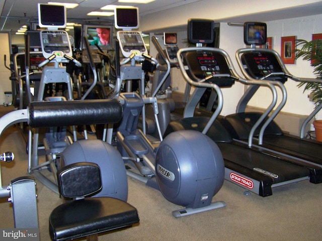 210 Locust St Unit 19Gw, Philadelphia, PA 19106 - exercise room featuring carpet floors