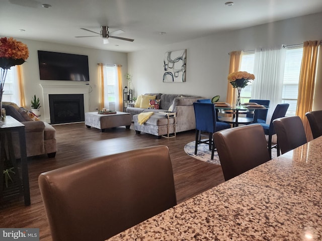 114 Furies St, Smyrna, DE 19977 - living room featuring ceiling fan, dark wood-style floors, and a fireplace