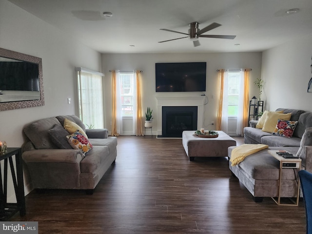 114 Furies St, Smyrna, DE 19977 - living area with ceiling fan, wood finished floors, and a glass covered fireplace