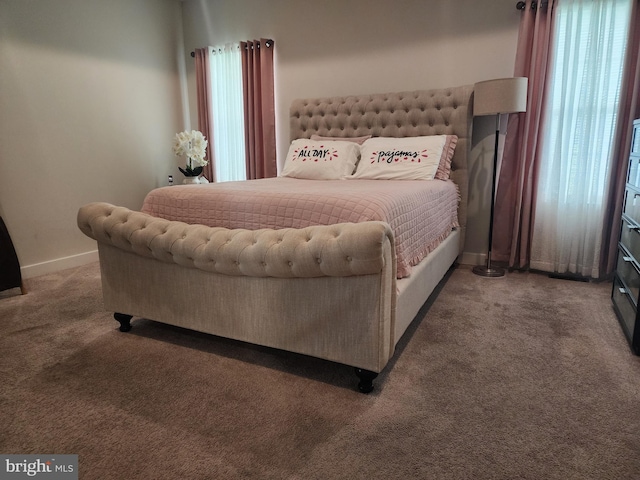 114 Furies St, Smyrna, DE 19977 - bedroom featuring carpet flooring and baseboards