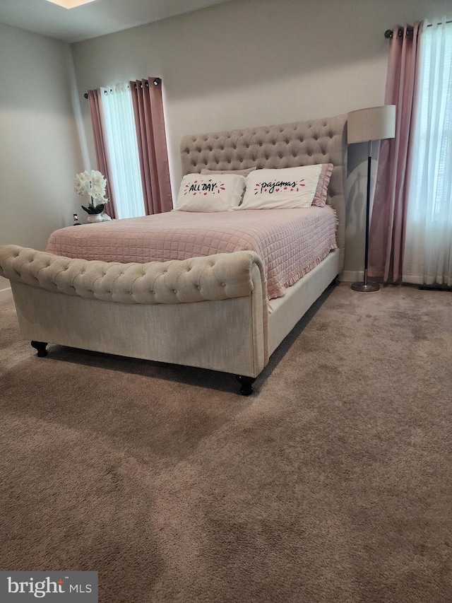 114 Furies St, Smyrna, DE 19977 - carpeted bedroom featuring multiple windows