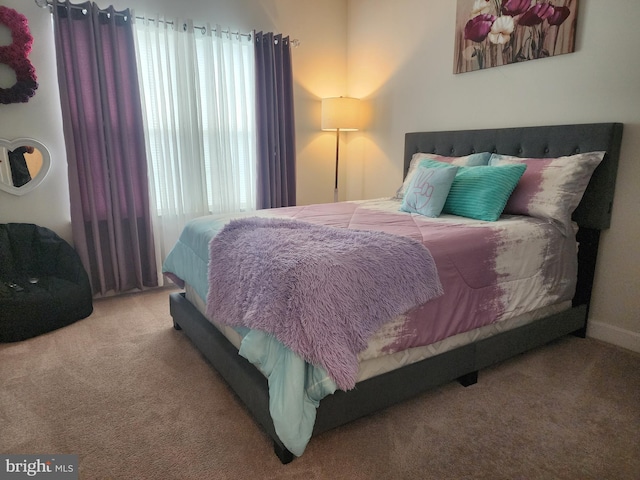 114 Furies St, Smyrna, DE 19977 - view of carpeted bedroom