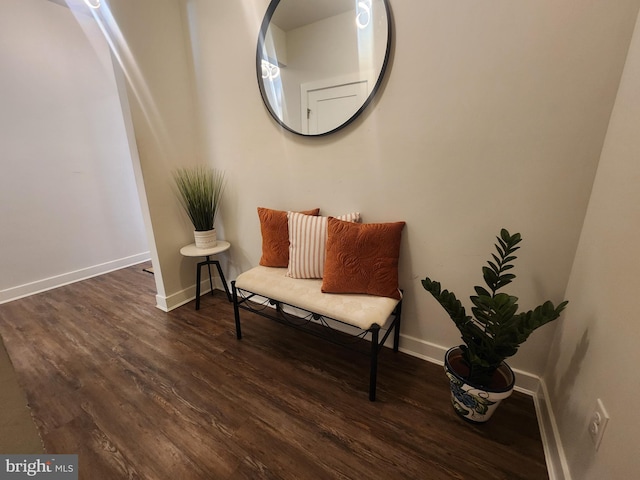 114 Furies St, Smyrna, DE 19977 - living area featuring wood finished floors and baseboards