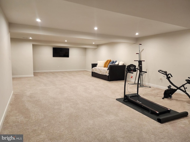 114 Furies St, Smyrna, DE 19977 - workout area with carpet, recessed lighting, and baseboards