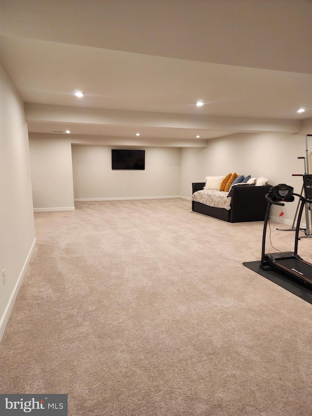114 Furies St, Smyrna, DE 19977 - exercise room with carpet flooring, recessed lighting, and baseboards