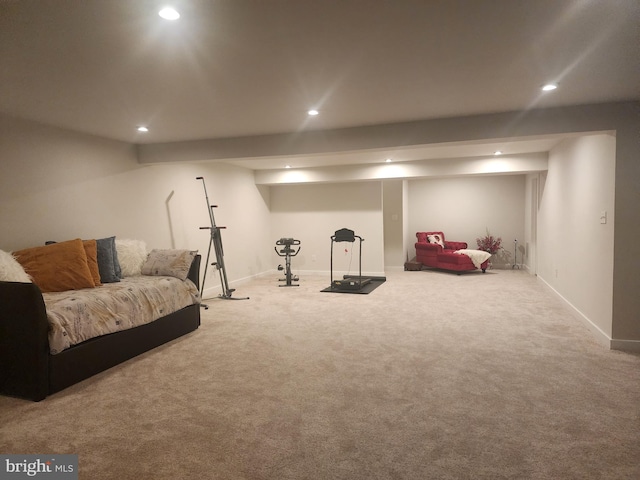 114 Furies St, Smyrna, DE 19977 - exercise area featuring recessed lighting, carpet floors, and baseboards