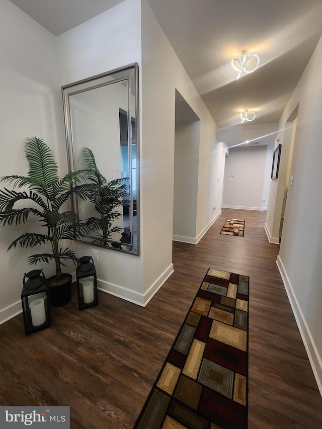 114 Furies St, Smyrna, DE 19977 - hall with wood finished floors and baseboards
