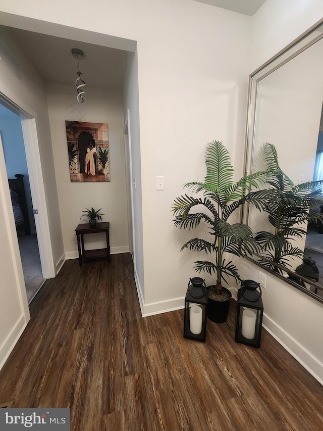 114 Furies St, Smyrna, DE 19977 - hall featuring wood finished floors and baseboards