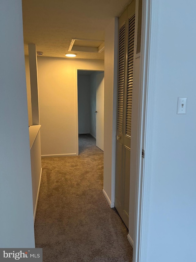 7539 Rain Flower Way, Columbia, MD 21046 - hall with carpet flooring and attic access