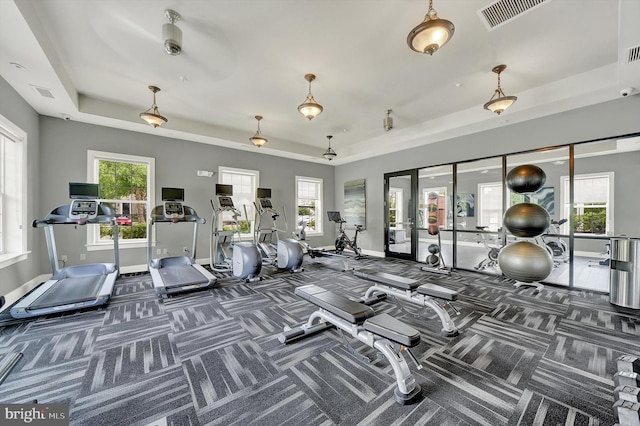 8346 Daydream Cres, Pasadena, MD 21122 - exercise room with baseboards, a tray ceiling, carpet floors, and french doors