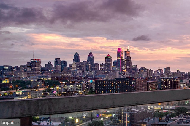 901 N Penn St Unit F2003, Philadelphia, PA 19123 - skyline view